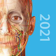 Human Anatomy Atlas 2024 (MOD, Paid Unlocked) v2024.00.005
